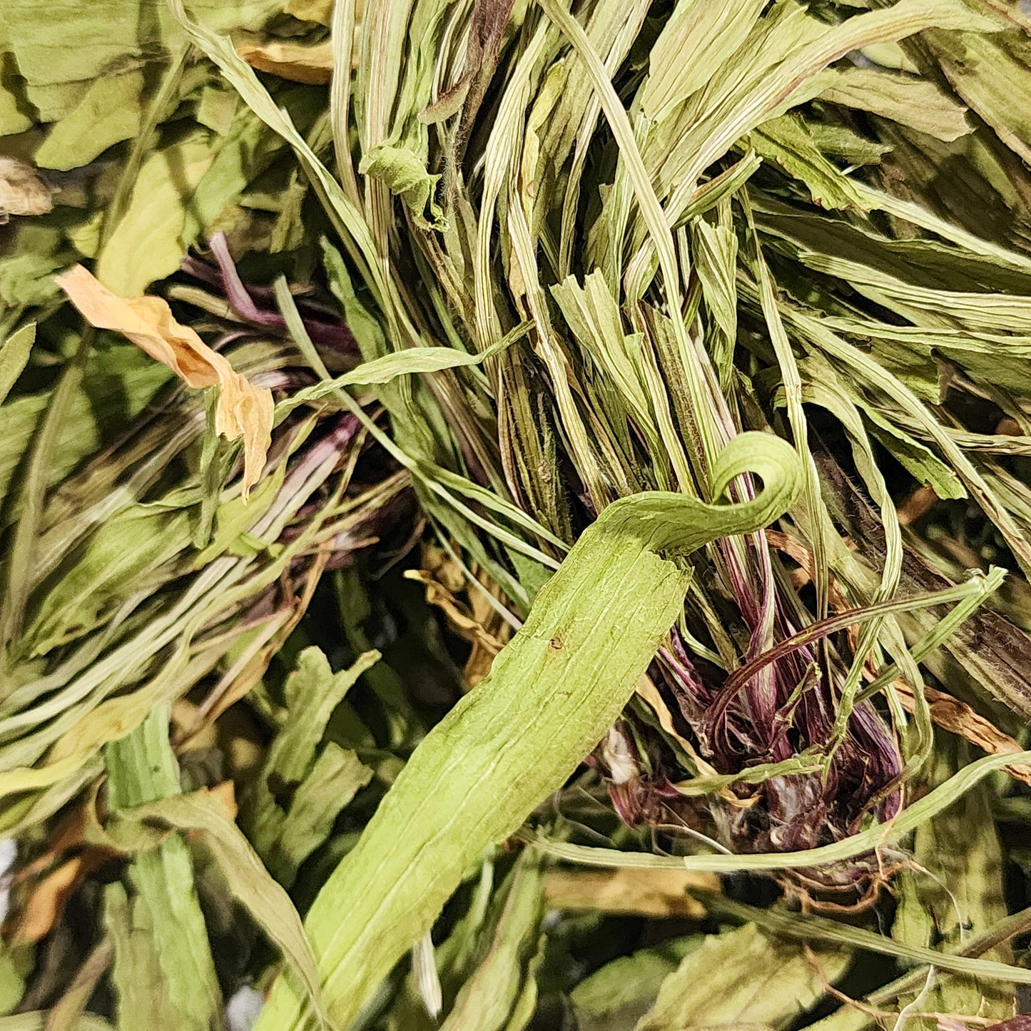 Plantain Leaves