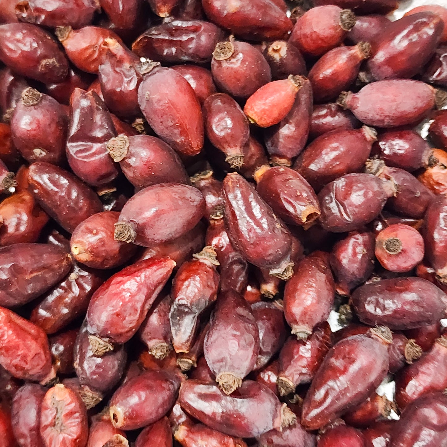 Wild Foraged Whole Rosehips