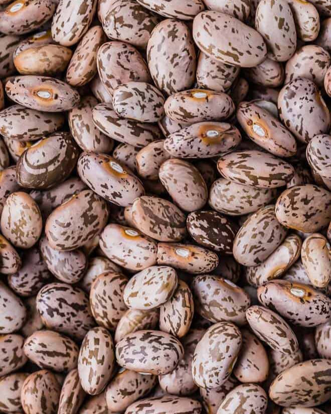 Pinto Beans