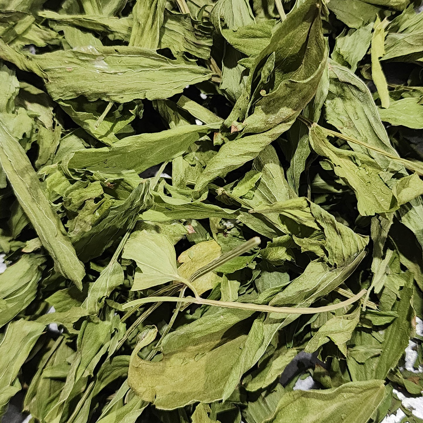Lovage
