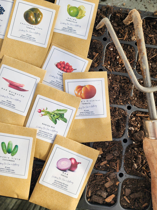 Starting Seeds
