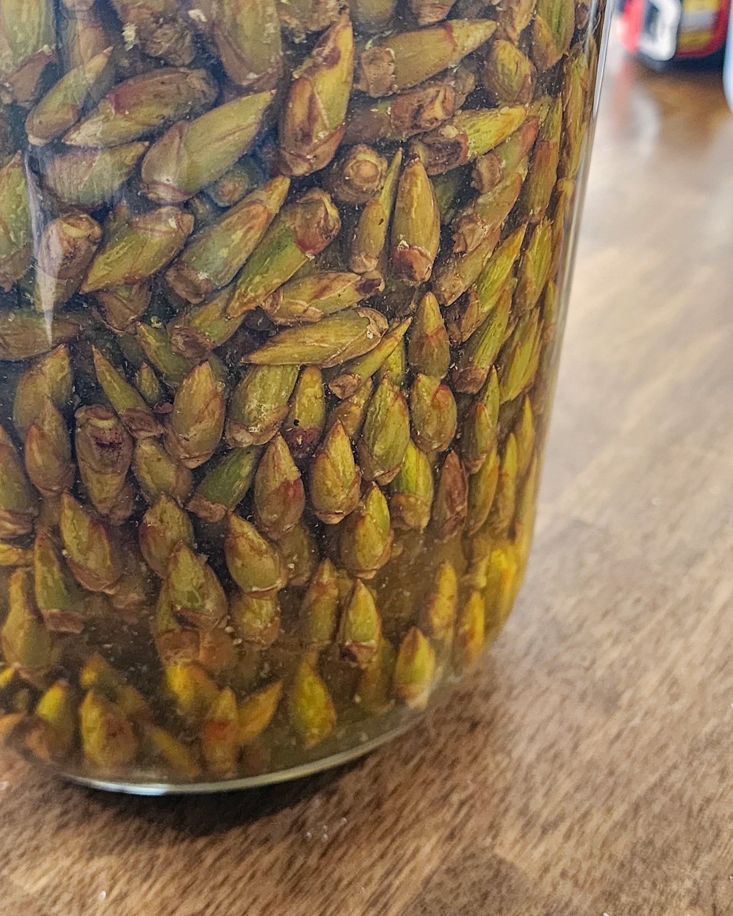 Cottonwood Bud Oil (Balm of Gilead)