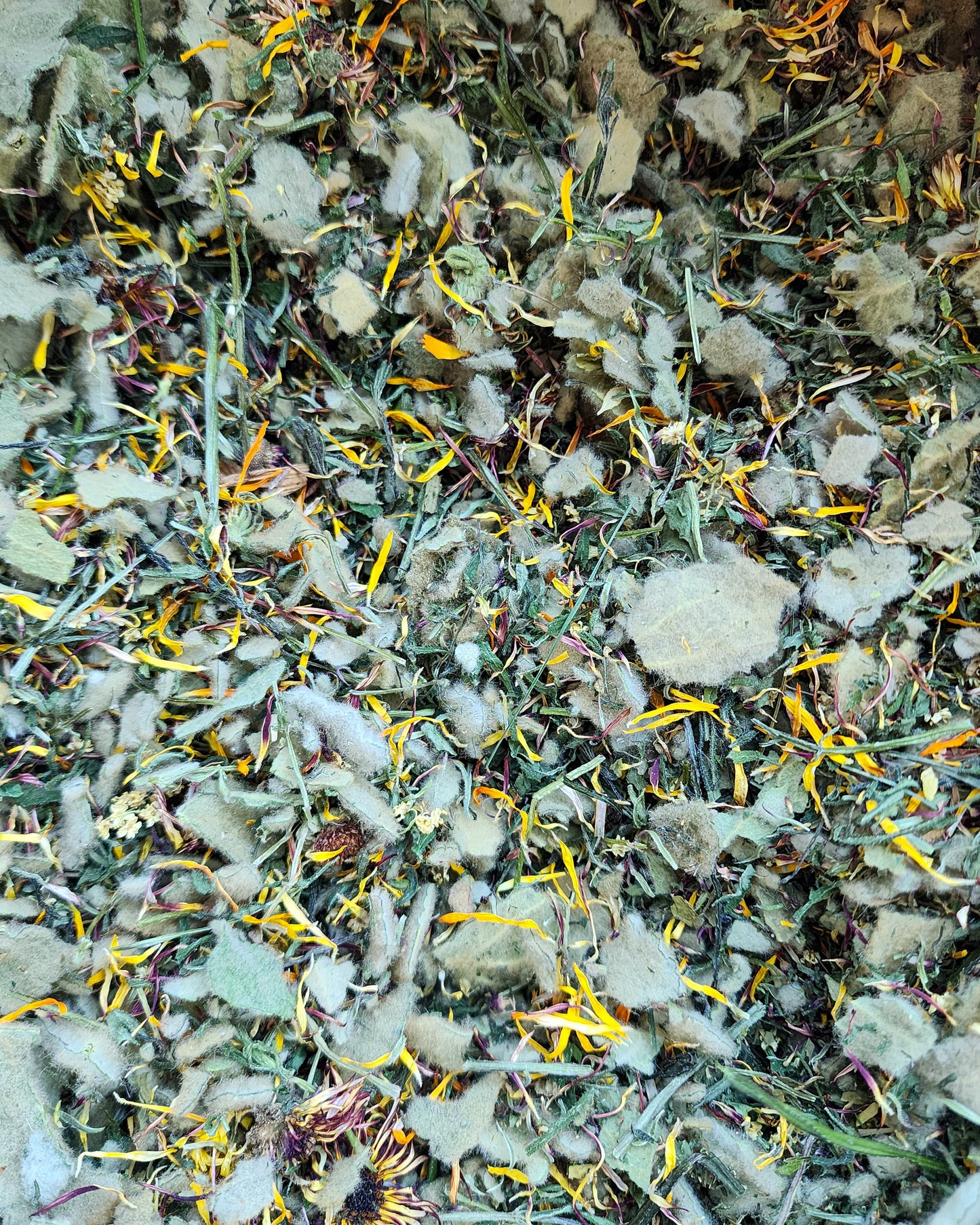 Lymph Mover Tea
