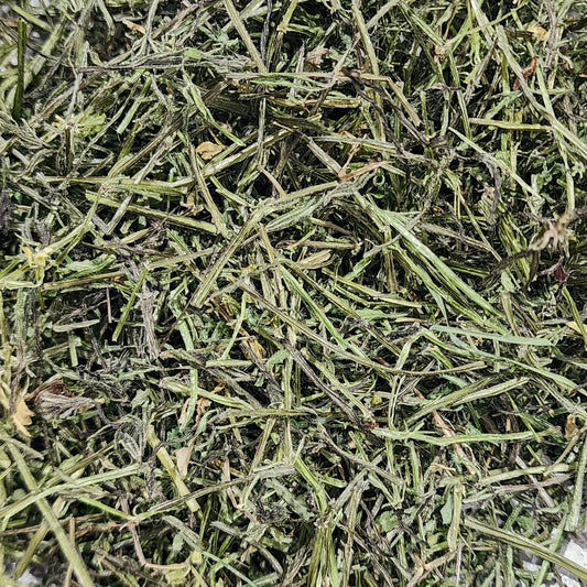 Wild Foraged Cleavers
