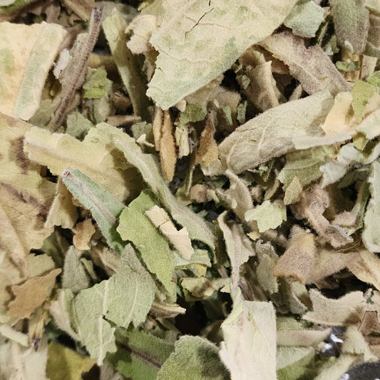 Wild Foraged Mullein Leaves