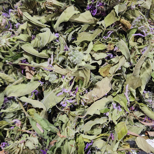 Bee Balm