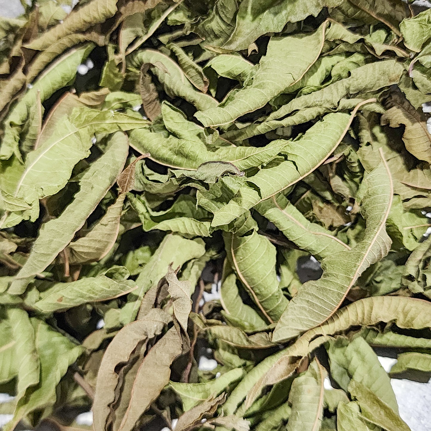 Lemon Verbena