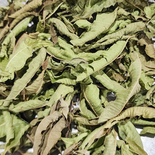 Lemon Verbena
