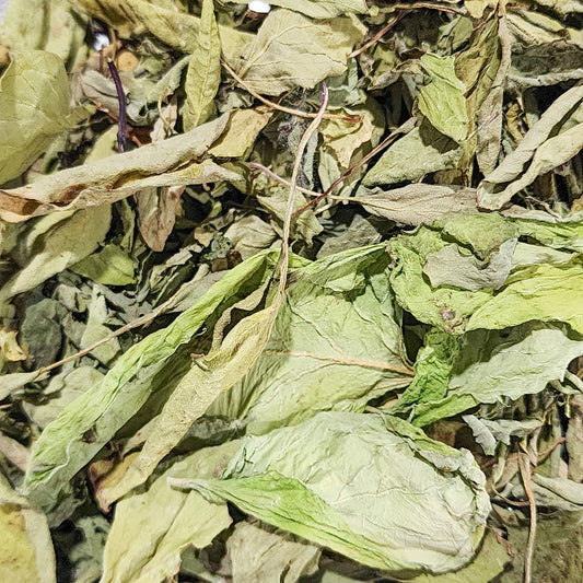 Basil Mix