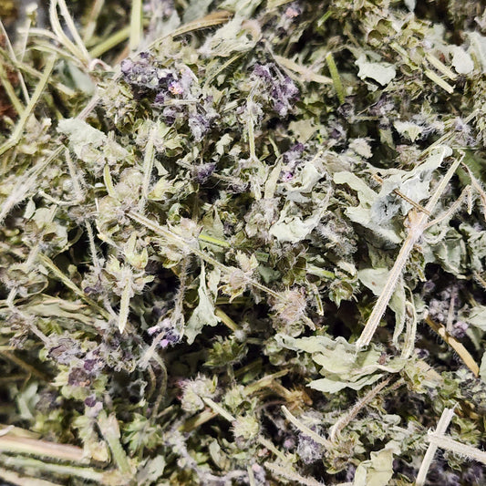 Holy Basil