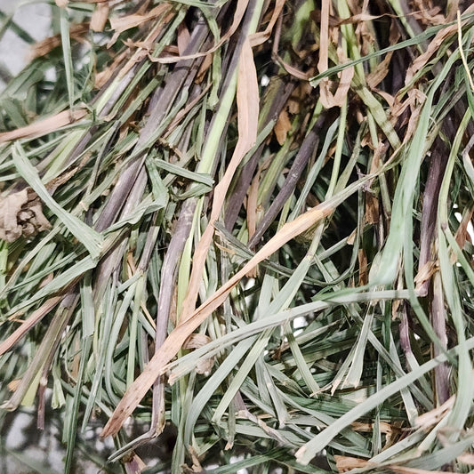 Lemongrass