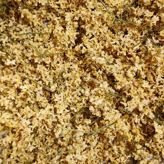 Wild Foraged Elderflower