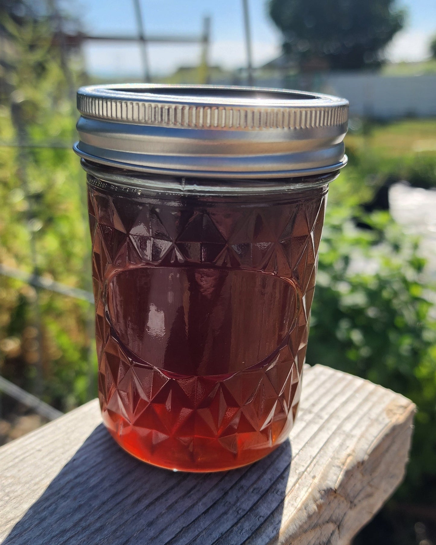 Dandelion Syrup