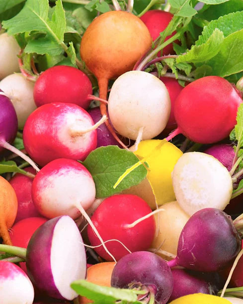 Radish Mix