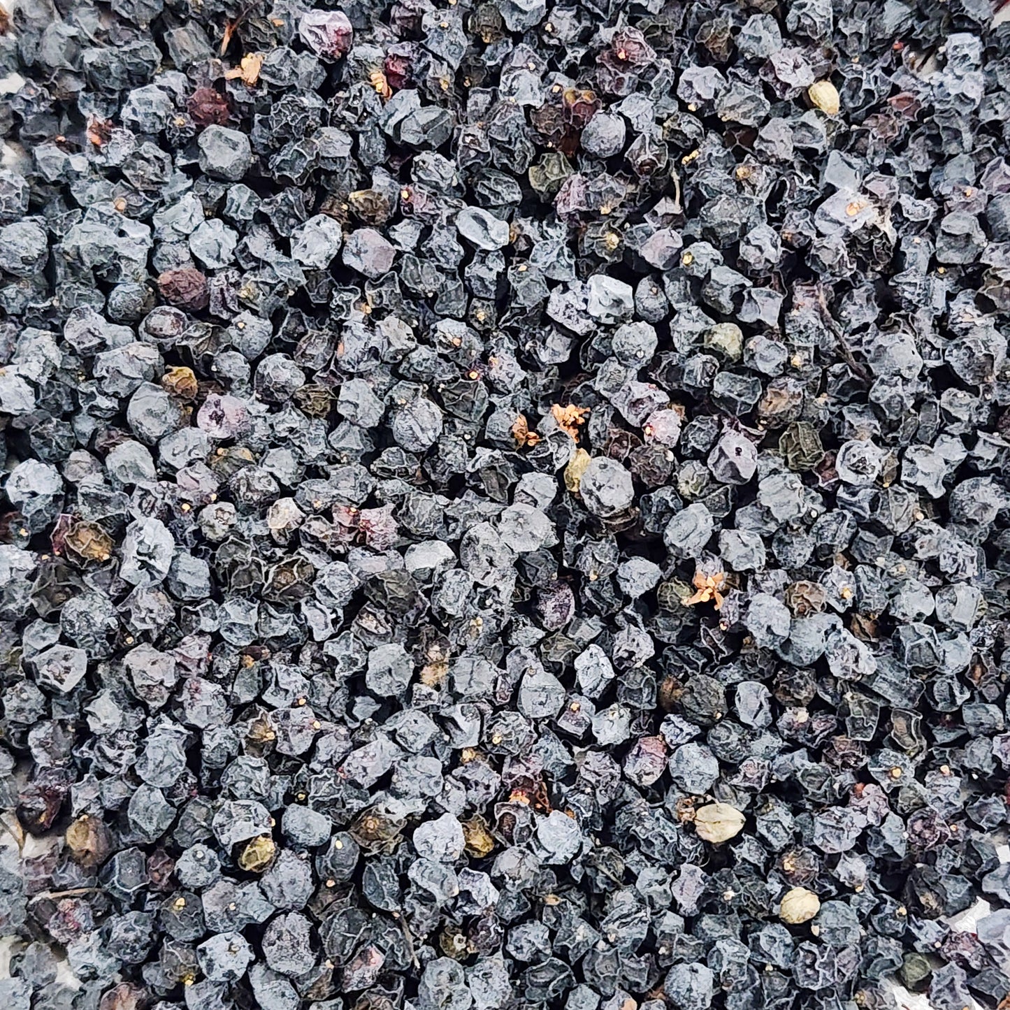 Wild Foraged Elderberry