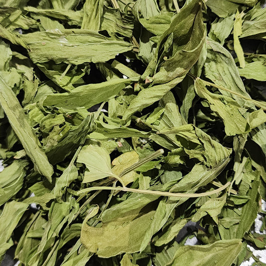 Lovage
