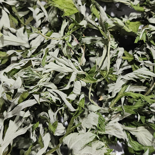 Mugwort