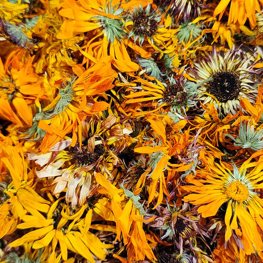 Calendula Flower