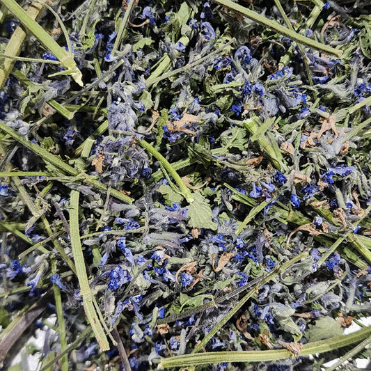 Catmint